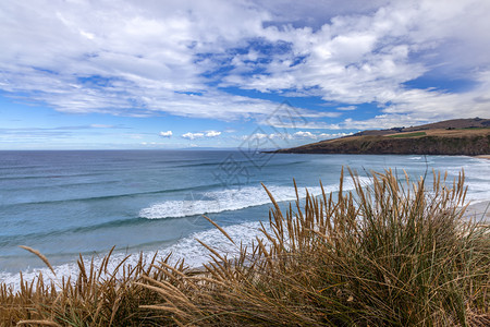 新西兰南部岛屿沙蝇湾的景象图片