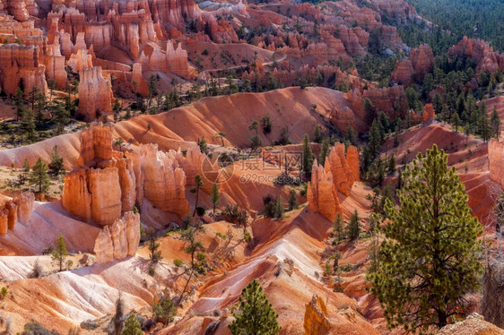 BryceCanyon美国南部犹他州图片