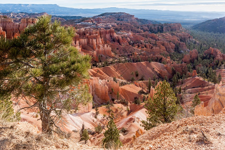 BryceCanyon美国南部犹他州图片