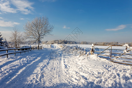 雪东格里斯特德的冬季现场背景