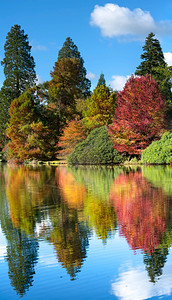 秋天谢菲尔德公园花景象图片