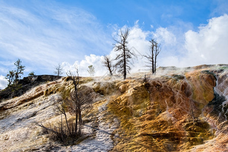 黄石公园的哺乳炎热泉图片