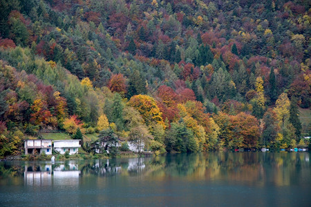 秋季前景湖图片