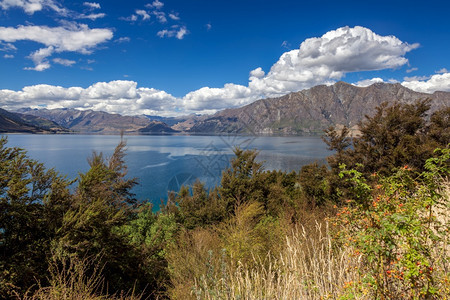 新西兰瓦纳卡湖景象图片