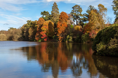 秋天谢菲尔德公园花高清图片