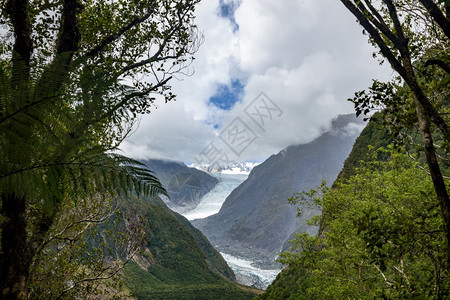 新西兰弗朗兹约瑟夫冰川的景象图片