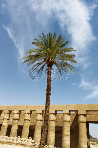 埃及卢克索卡纳寺庙的棕榈树对蓝天和古老废墟图片