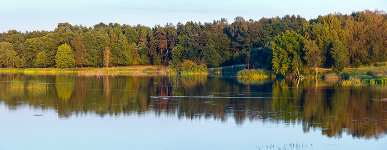 夏夜湖风景与植物对水面的反射(Shklo定居点附近,乌克兰利沃夫州),两缝合高分辨率全景。图片