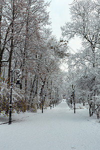乌克兰利沃夫市中心美丽的冬日伊万弗兰科公园无法辨认的人图片