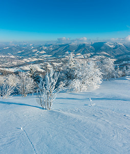 清晨冬季平静的山地景观坡上有美丽的霜冻树木和雪地滑乌克兰喀尔巴阡山图片