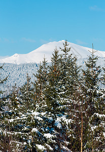 照片来自小森林和Skupova山高坡乌克兰最高霍夫纳区Chonohora山脊和PipIvan山峰喀尔巴阡图片