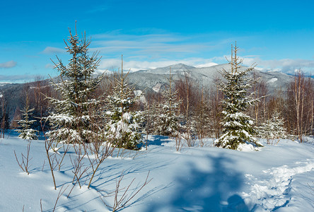 照片来自阿尔卑斯山道的冬晨景其足迹出现在年轻的森林中Skupova山坡乌克兰Chornohora山脊和PipIvan山顶喀尔巴阡图片