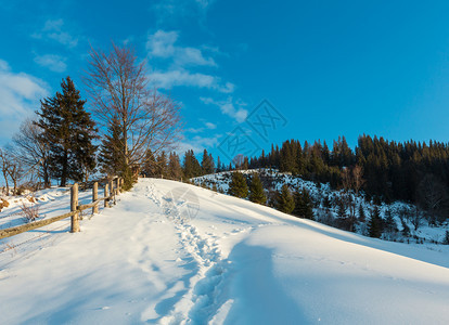 冬季清晨风景显示山地农村雪覆盖了道路和足迹乌克兰喀尔巴阡山宁静的Dzembronya村郊区山丘图片