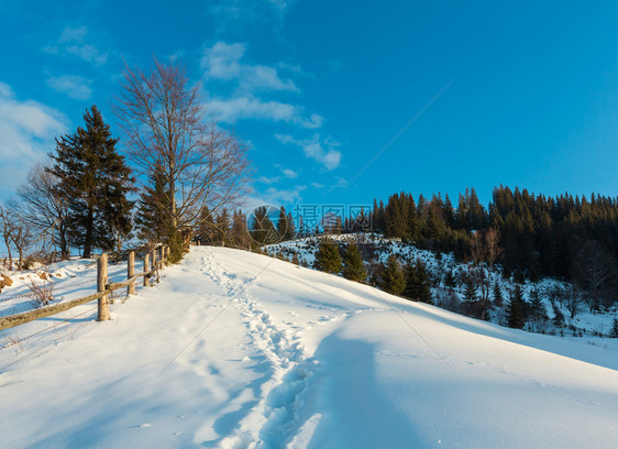 冬季清晨风景显示山地农村雪覆盖了道路和足迹乌克兰喀尔巴阡山宁静的Dzembronya村郊区山丘图片