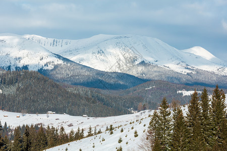 上午冬天的雪覆盖了风景和山脊乌克兰喀尔巴阡山克霍诺拉脉Dzembronya村郊区山丘的宁静景色图片