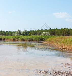 SummerPryschukove深褐色红碘湖由于含量高产生了治疗效果乌克兰基尔森地区图片