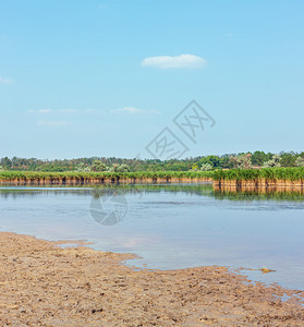 夏季Pryschukove蓝湖景观乌克兰基森地区图片