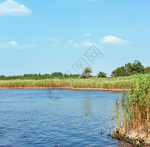 夏季Pryschukove蓝湖景观乌克兰基森地区图片