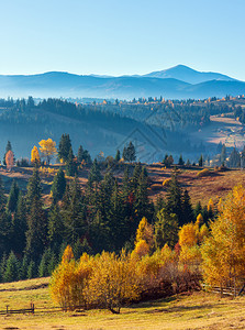 第一次日出阳光和影子的芒通过迷雾和山坡上的树木照耀上午秋天喀尔巴阡山地貌乌克兰伊凡诺弗基夫斯克州亚布卢尼西村和山口图片