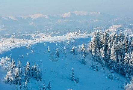 清晨冬季平静的山地景观坡上有美丽的霜冻树木和雪地滑乌克兰喀尔巴阡山图片