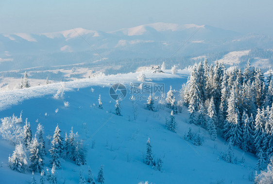 清晨冬季平静的山地景观坡上有美丽的霜冻树木和雪地滑乌克兰喀尔巴阡山图片