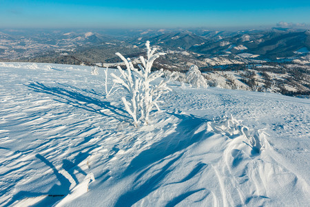 清晨冬季平静的山地景观坡上有美丽的霜冻树木和雪地滑乌克兰喀尔巴阡山图片