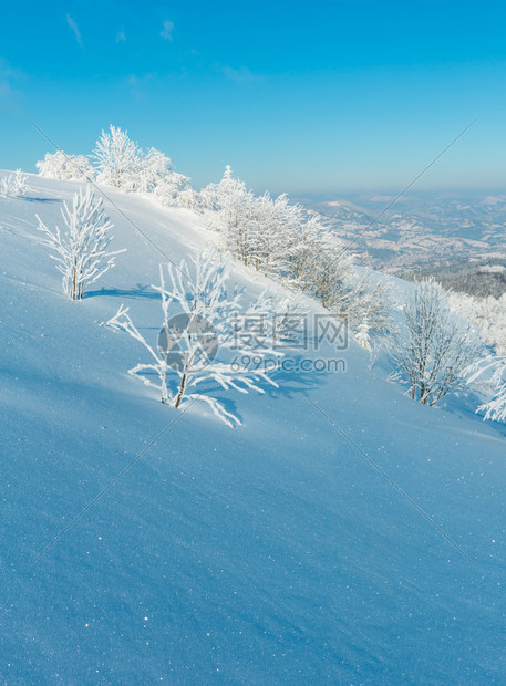 清晨冬季平静的山地景观坡上有美丽的霜冻树木和雪地滑乌克兰喀尔巴阡山图片