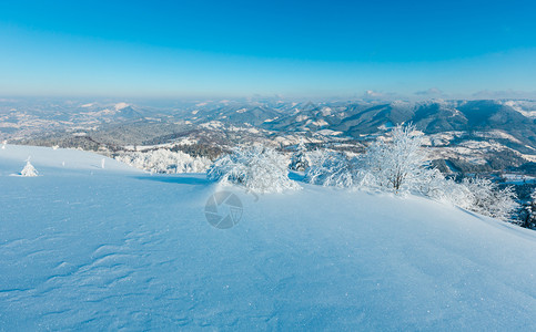 清晨冬季平静的山地景观坡上有美丽的霜冻树木和雪地滑乌克兰喀尔巴阡山图片