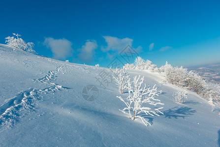 上午清晨冬季平静的山地景观坡上有美丽的霜冻树木和山坡道穿过上的雪田喀尔巴阡山乌克兰图片