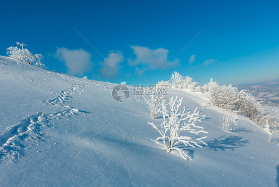 上午清晨冬季平静的山地景观坡上有美丽的霜冻树木和山坡道穿过上的雪田喀尔巴阡山乌克兰图片