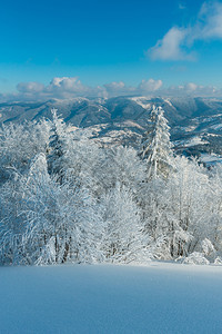 冬季平静的山地景观坡上有美丽的霜冻树木和滑雪乌克兰喀尔巴阡山图片