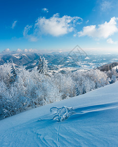 清晨冬季平静的山地景观坡上有美丽的霜冻树木和雪地滑乌克兰喀尔巴阡山图片