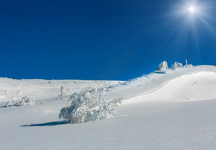 冬季平静阳光明媚的山地景观坡上有美丽的霜冻树木和雪地喀尔巴阡山乌克兰图片