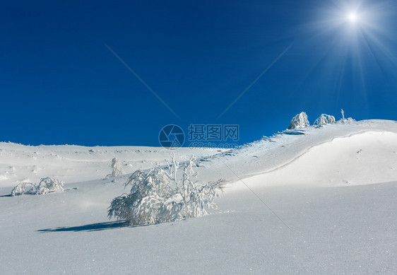 冬季平静阳光明媚的山地景观坡上有美丽的霜冻树木和雪地喀尔巴阡山乌克兰图片