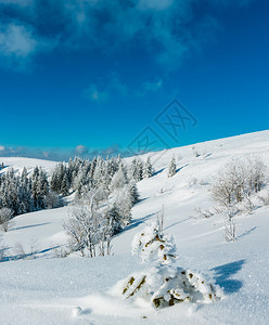 冬季平静的山地景观坡上有美丽的霜冻树木和滑雪乌克兰喀尔巴阡山图片