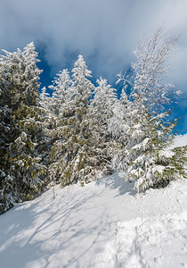 冬季平静的山地景观坡上有美丽的霜冻树木和滑雪乌克兰喀尔巴阡山图片