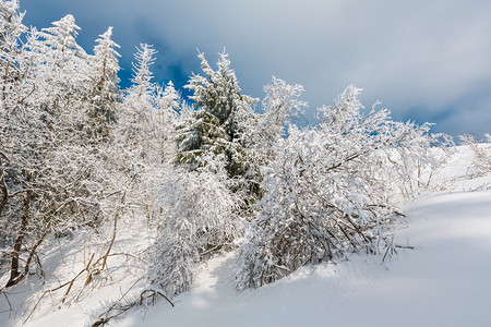 冬季平静的山地景观坡上有美丽的霜冻树木和滑雪乌克兰喀尔巴阡山图片