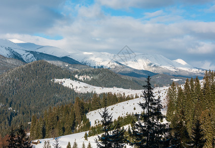 上午冬天的雪覆盖了风景和山脊乌克兰喀尔巴阡山克霍诺拉脉Dzembronya村郊区山丘的宁静景色图片