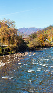 秋天喀尔巴阡山脉白泰萨河风景山峡坡上和河有多色黄红褐树乌克兰Transcarpathia图片