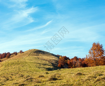 秋天喀尔巴阡山地貌坡上有多色树山坡上有脚拉希夫口横贯卡尔巴西亚乌克兰图片