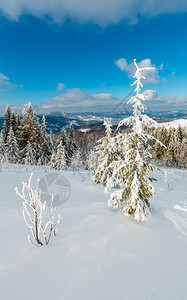 冬季平静的山地景观坡上有美丽的霜冻树木和滑雪跑道穿过山坡上的雪流喀尔巴阡山乌克兰图片