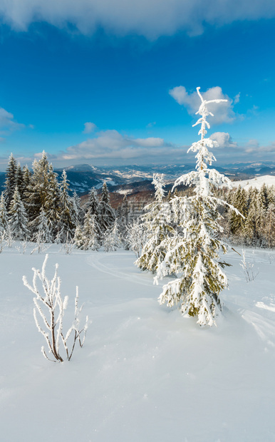 冬季平静的山地景观坡上有美丽的霜冻树木和滑雪跑道穿过山坡上的雪流喀尔巴阡山乌克兰图片