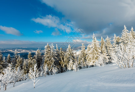 冬季平静的山地景观坡上有美丽的霜冻树木和滑雪乌克兰喀尔巴阡山图片