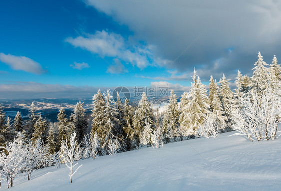 冬季平静的山地景观坡上有美丽的霜冻树木和滑雪乌克兰喀尔巴阡山图片