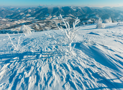 清晨冬季平静的山地景观坡上有美丽的霜冻树木和雪地滑乌克兰喀尔巴阡山图片