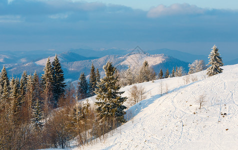 夜晚寒冬平静的山地景观有美丽的霜冻树木和滑雪轨迹通过山坡上的雪地漂浮喀尔巴阡山乌克兰图片