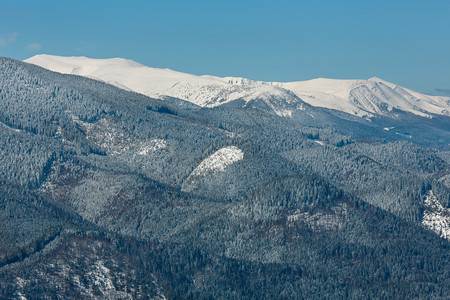 照片来自乌克兰斯库波瓦山坡的冬风景图片