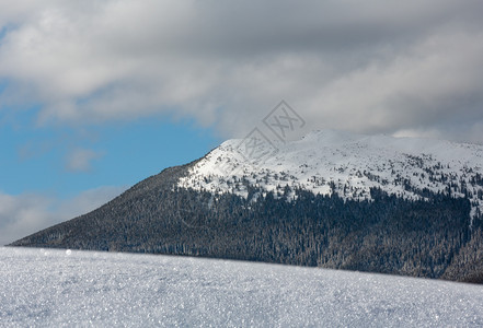 美丽的阳光晴朗雪表面有晶状花和山后面的自然宏观背景对冬季概念来说很美图片