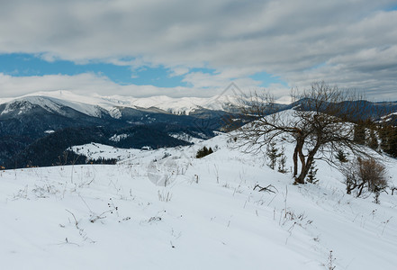 上午冬天的雪覆盖了风景和山脊乌克兰喀尔巴阡山克霍诺拉脉Dzembronya村郊区山丘的宁静景色图片