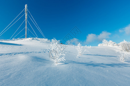 蓝色天空背景的山顶上美丽寒冬霜树通讯塔和滑雪喀尔巴阡山乌克兰图片